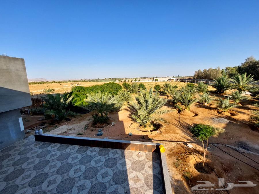 Farm for sale in Tabuk (100 dunams - well - electricity - electronic deed)62919229530626113