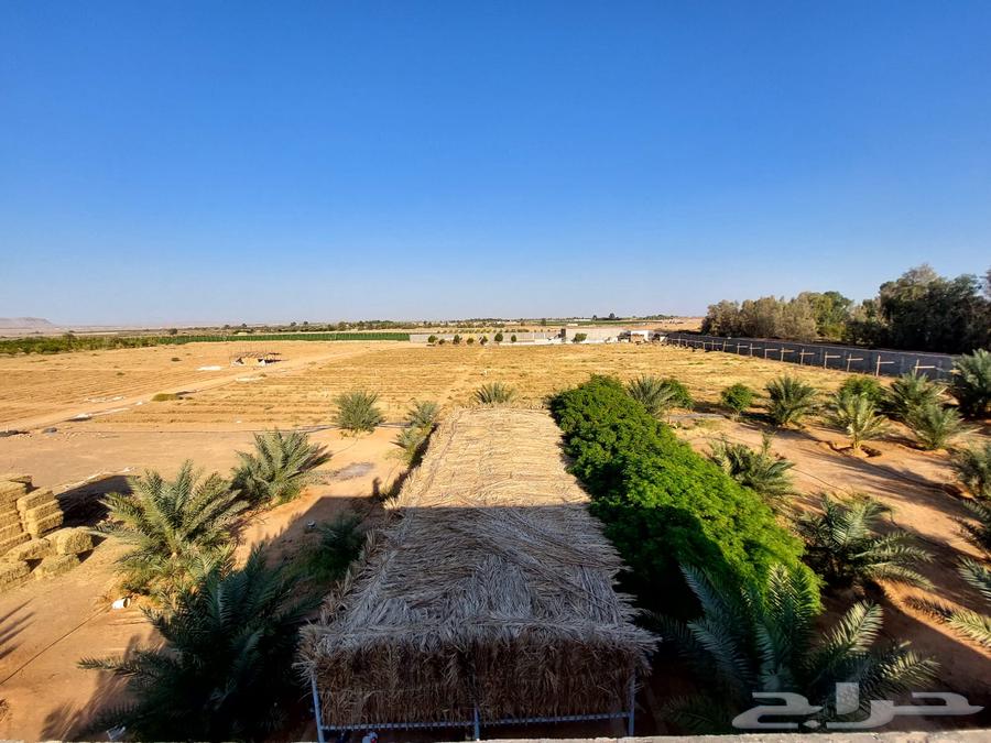 Farm for sale in Tabuk (100 dunams - well - electricity - electronic deed)62919229530626111