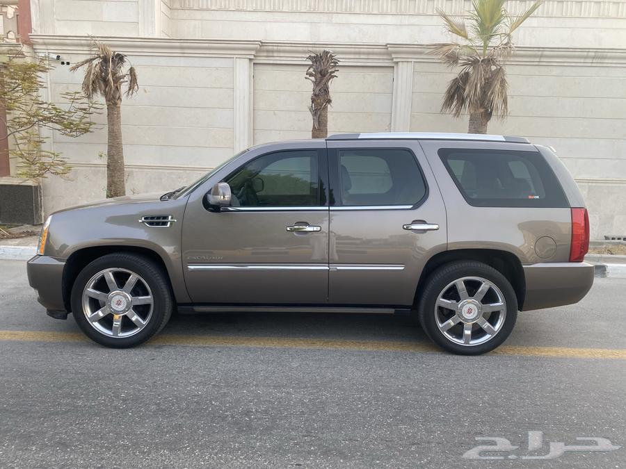 2014 Cadillac Escalade Short for Sale63615834335235113