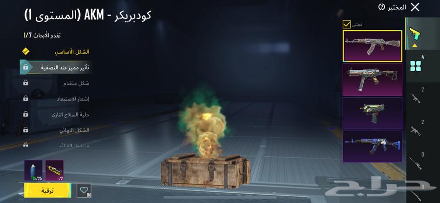 حساب ببجي النسخة العالمية كونكر C1S3633368908666901111
