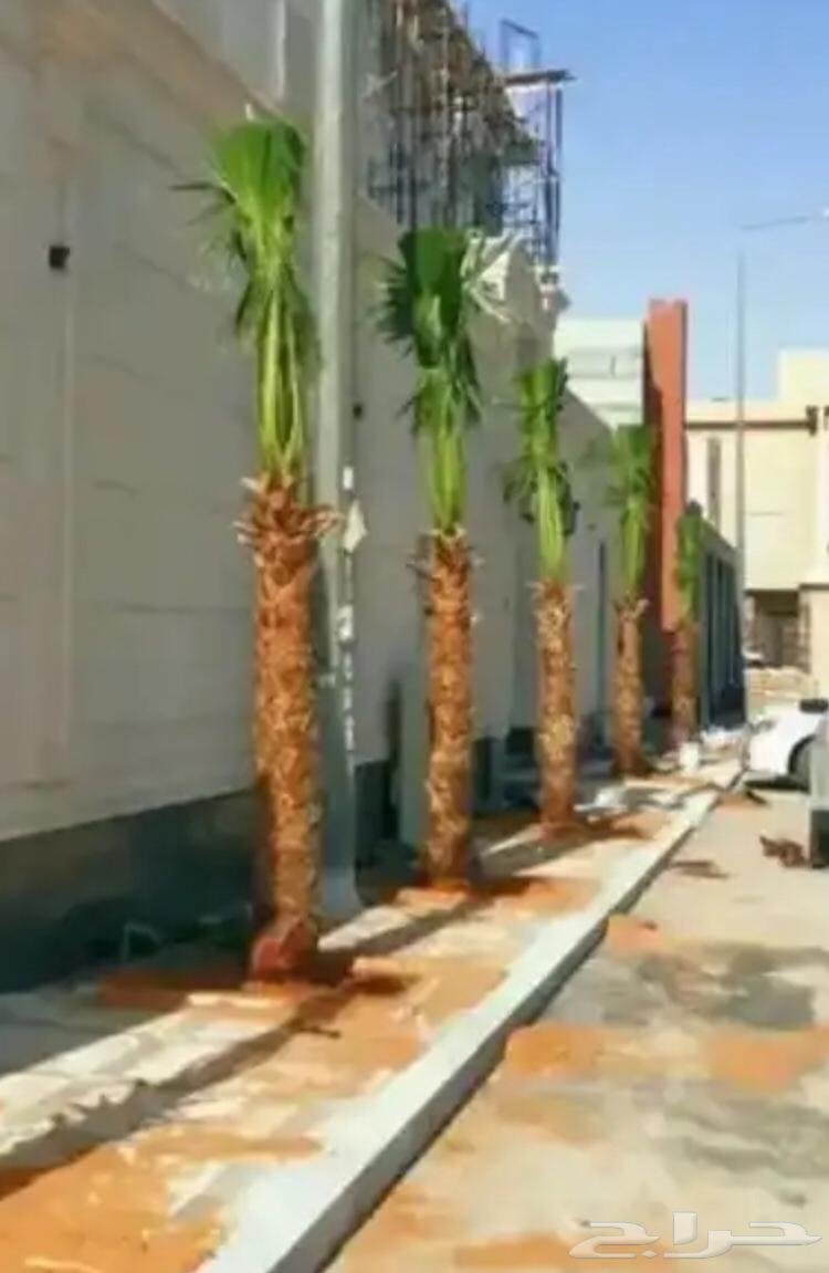 تنسيق الحدائق المنزلية63005064650883111