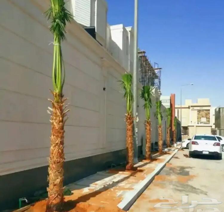 تنسيق الحدائق المنزلية63005064650883114