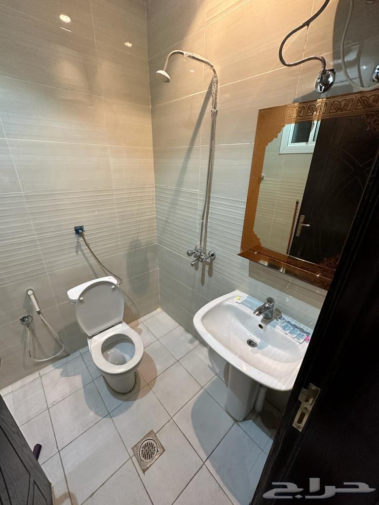 Furnished apartments for daily and weekly rent63005765244802112