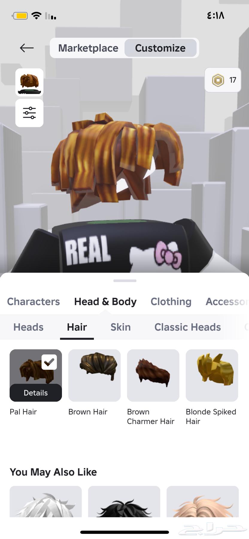 A cool and nice Roblox account, the account has a spray, clothes, and mods.63333016864002112