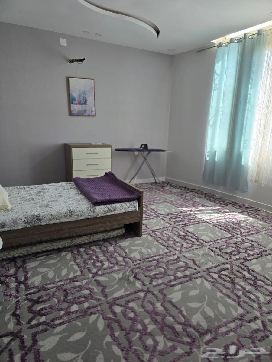 Fully furnished apartment for monthly rent during the summer in the new Shubara district62919230019970113