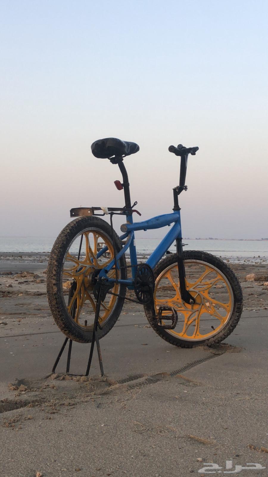 Cobra Cycle Al-Jubail site63005136372099112