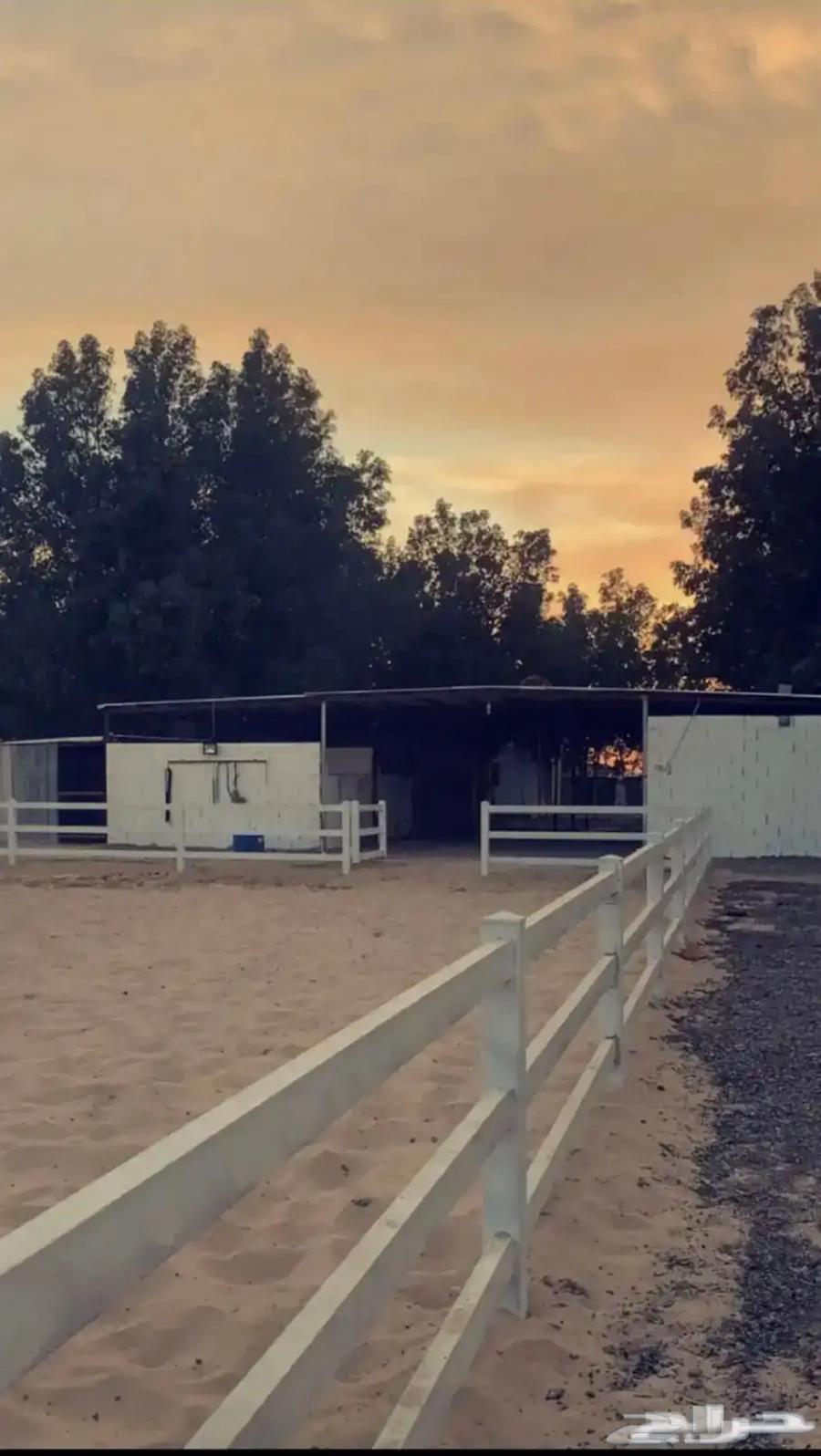 ايواء خيل بوايك محدوده633299603791391126