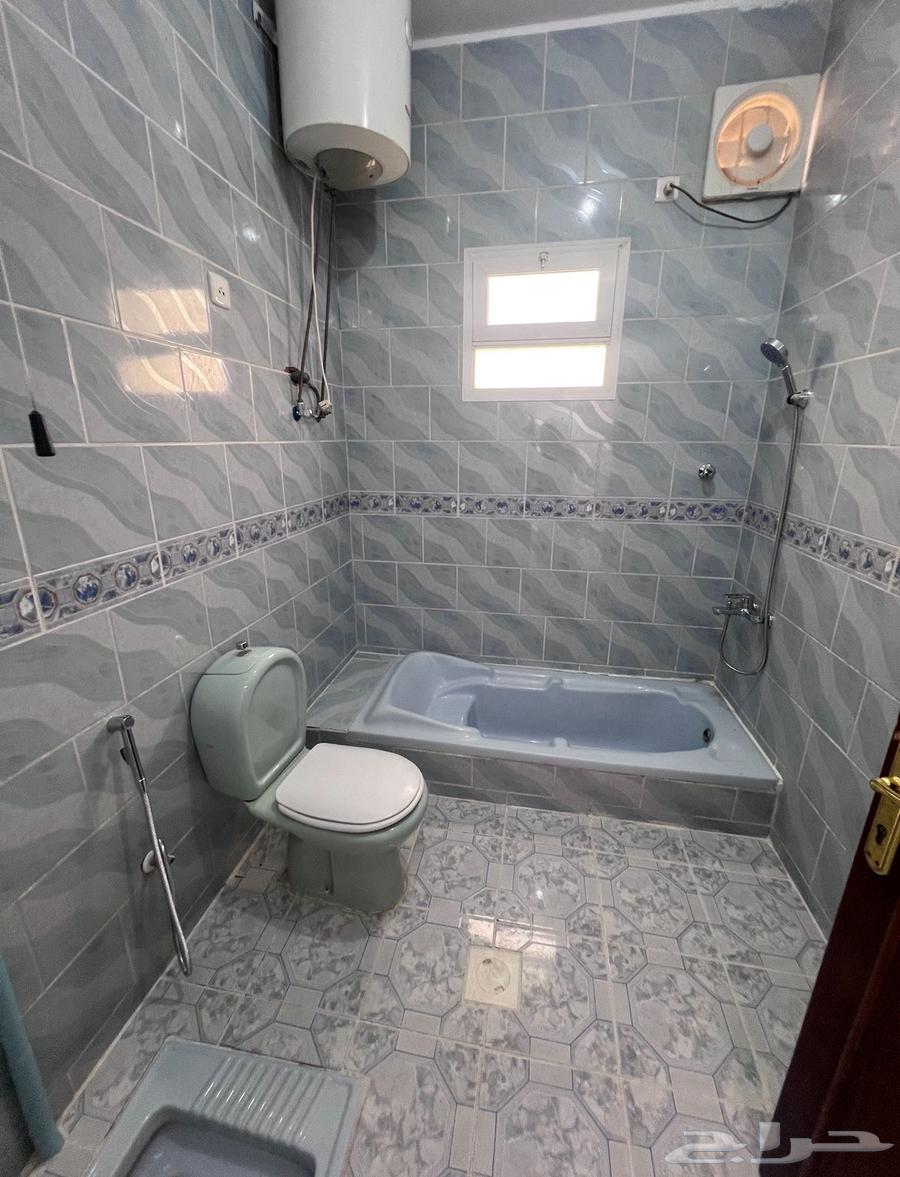 Daily and weekly rental apartment (Shibah)63009381616769113
