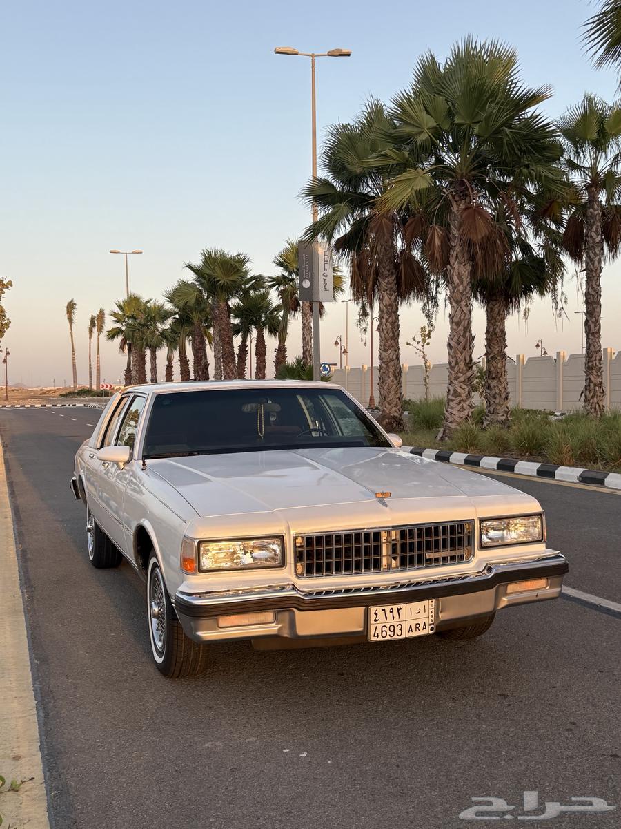 Kapers LS Saudi 89 for sale63005245591939111