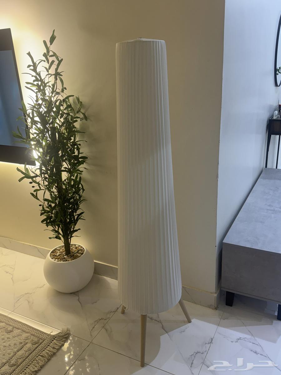 TV table Lamp63005661692801111