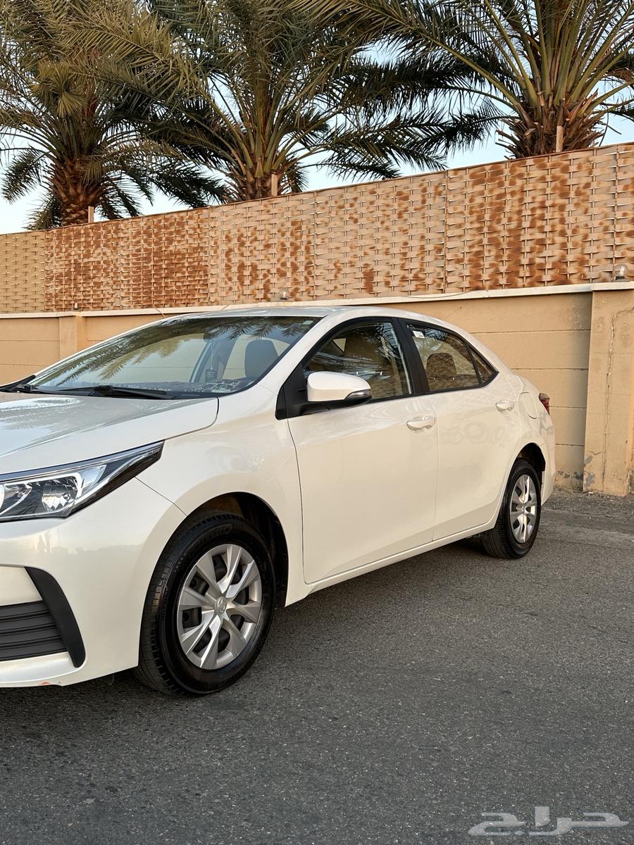 Toyota Corolla 2019 for sale63005094483969111