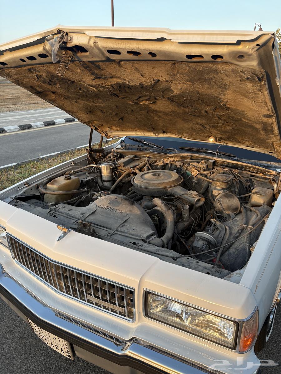 Kapers LS Saudi 89 for sale63005245591939114