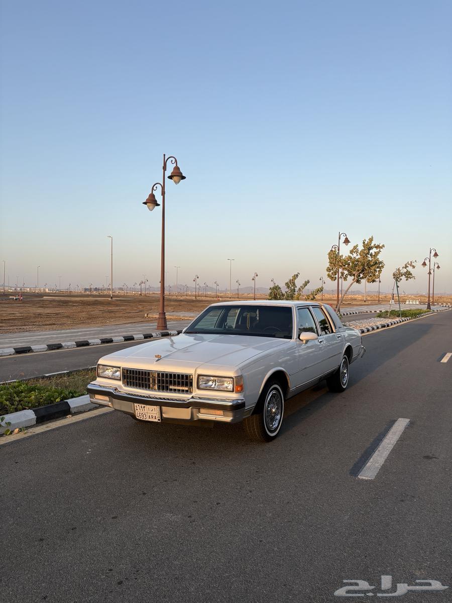 Kapers LS Saudi 89 for sale63005245591939113