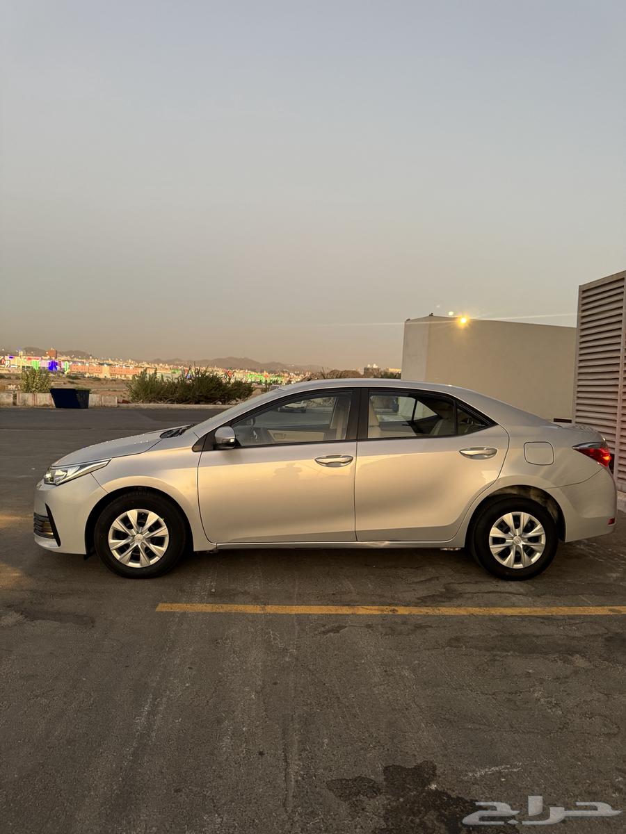 Kurila 2018 (Agency)63005092362755112