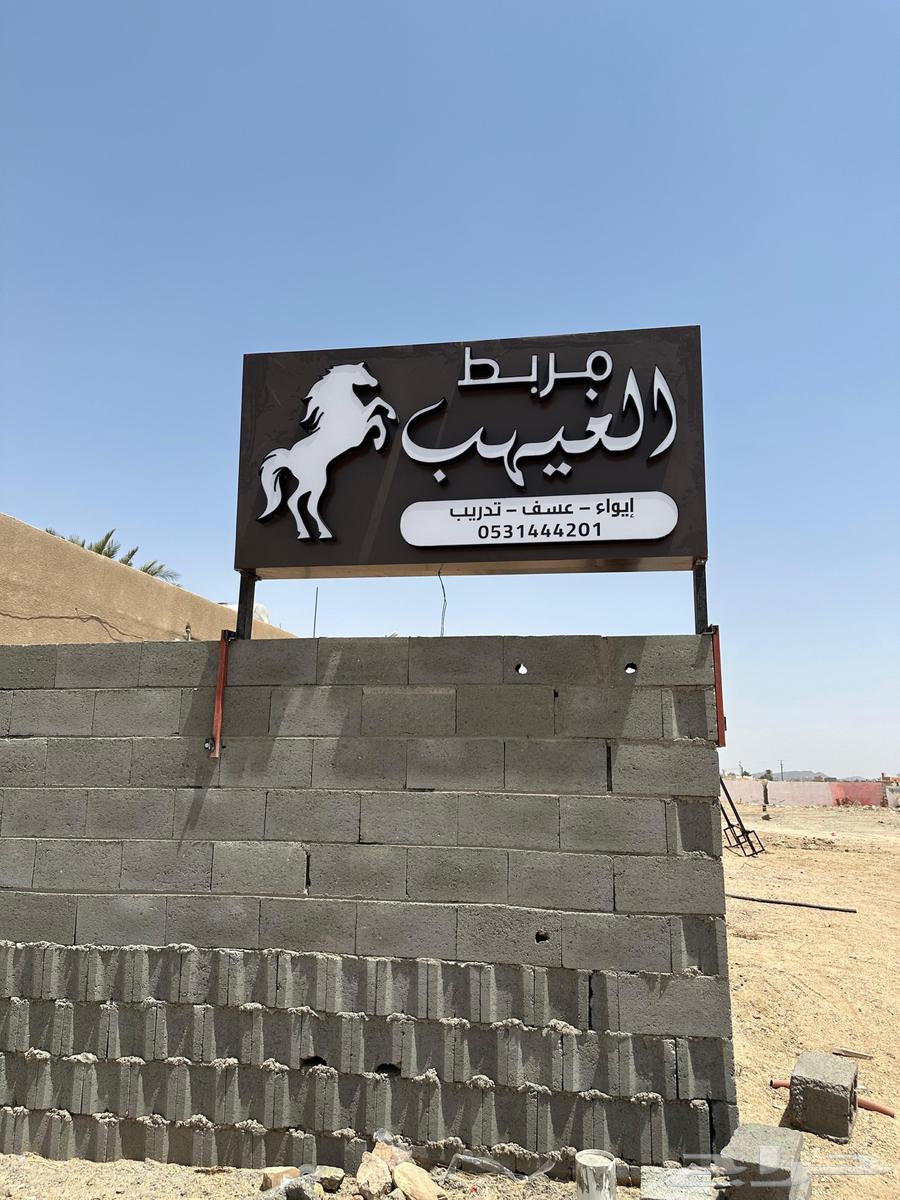 Hamat for advertising and publicity, contact us63005073459075112