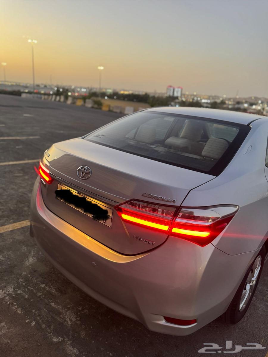 Kurila 2018 (Agency)63005092362755114