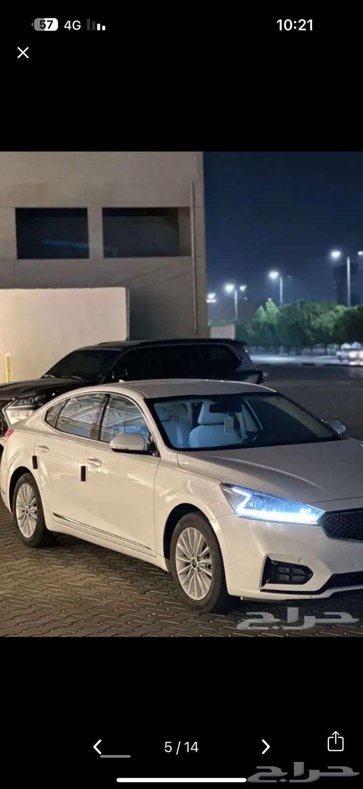 كادينزا 201963005136304897113