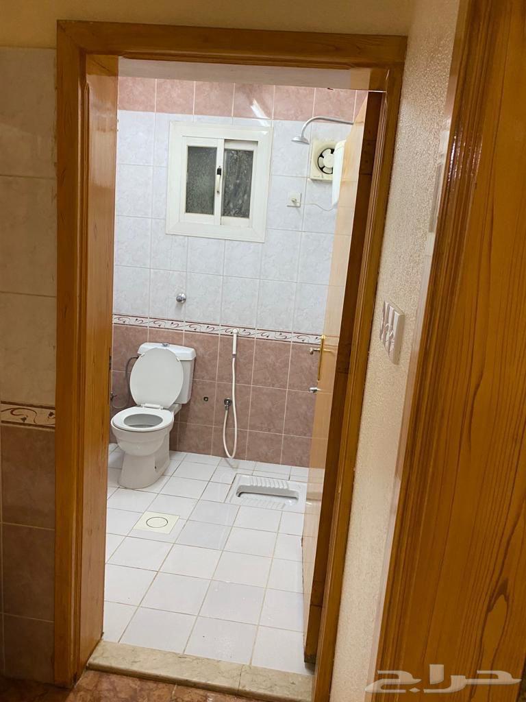 شقة غرفة مفروشة بحي المنسك بأبها63009593028098112