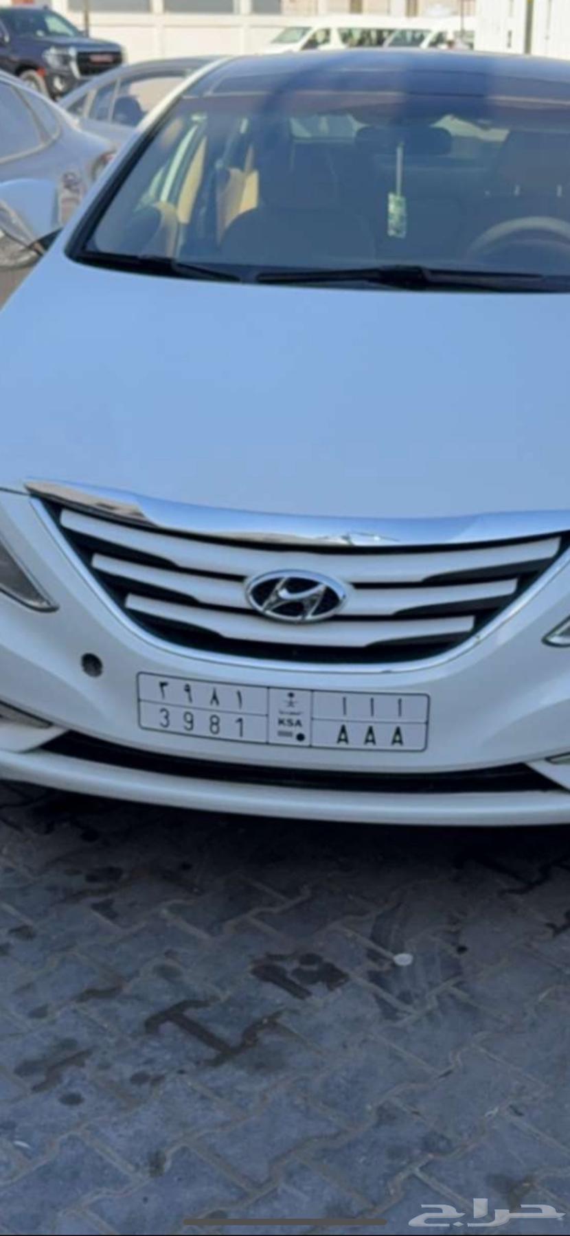 Premium plate for sale a a a63616002781954111