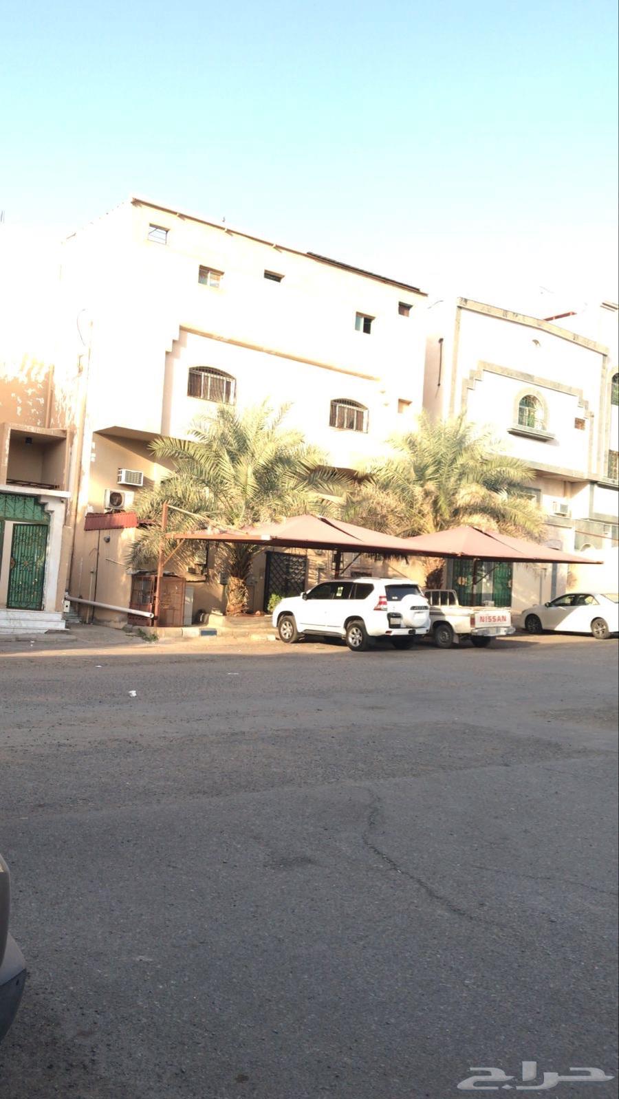 عماره للبيع في حي وبره عروة63329074838019118