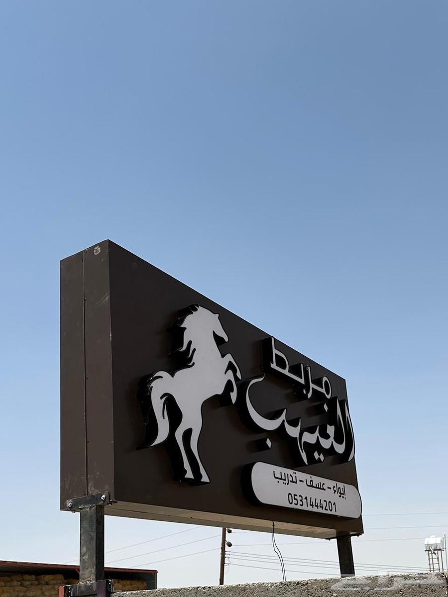 Hamat for advertising and publicity, contact us63005073459075111