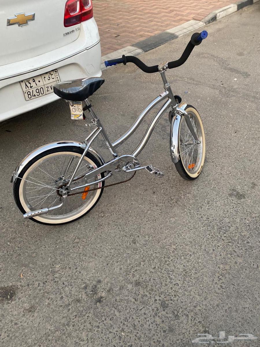 Butterfly cycle63005142187011111
