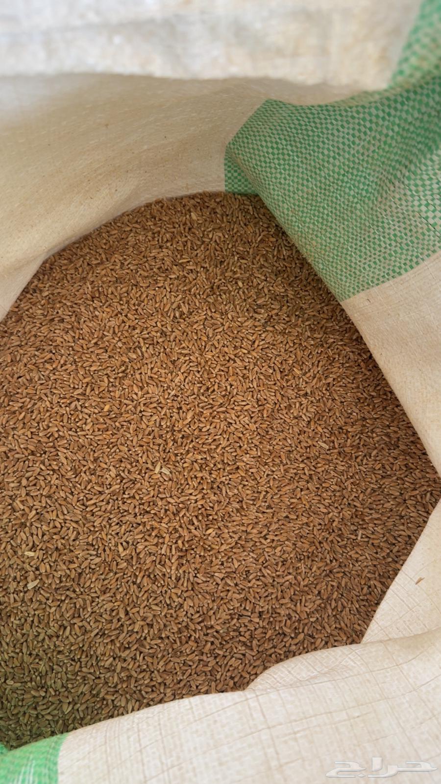 He has wheat without chemicals63379943862915111