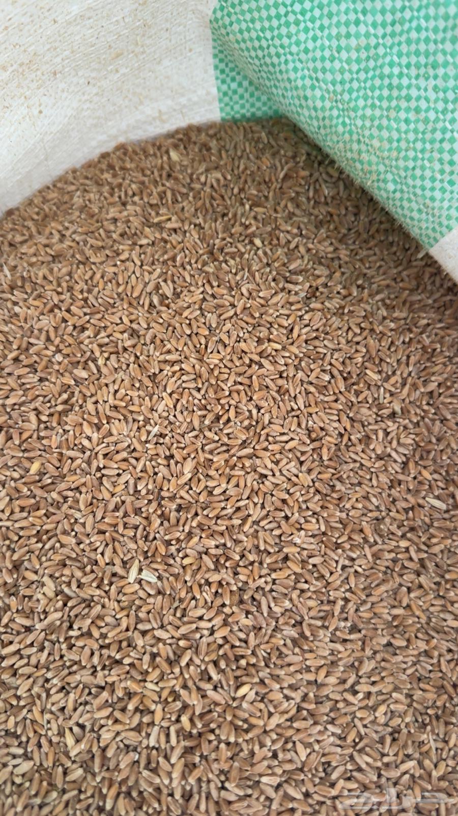He has wheat without chemicals63379943862915112