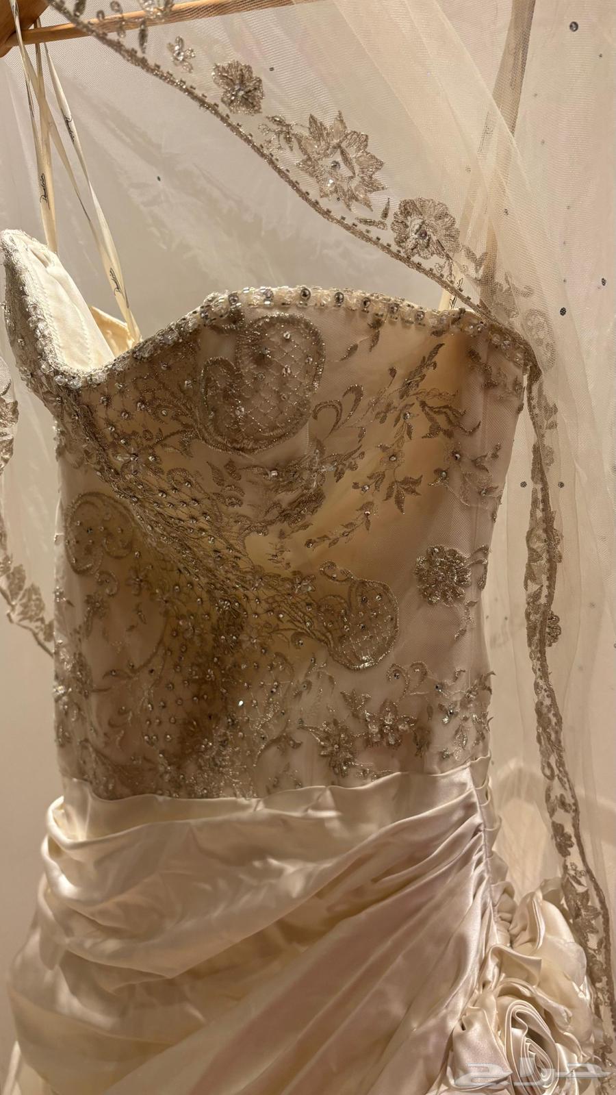 Luxury wedding dress designed by Dimetrius63402190839682111