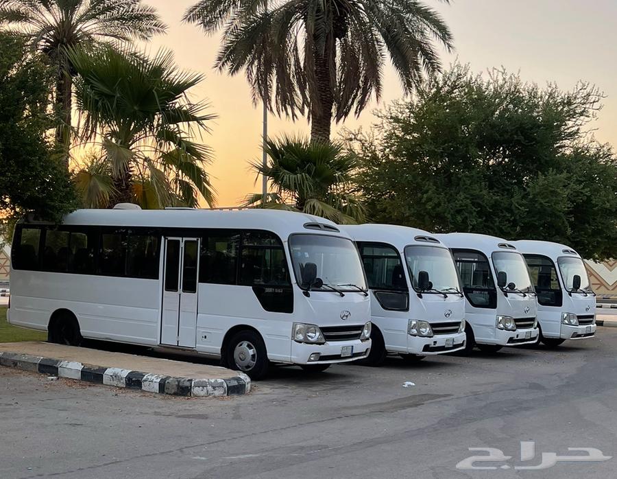 الايجار باصات كوستر 30 راكب مع السائقين بيش جيزان634020443381781113