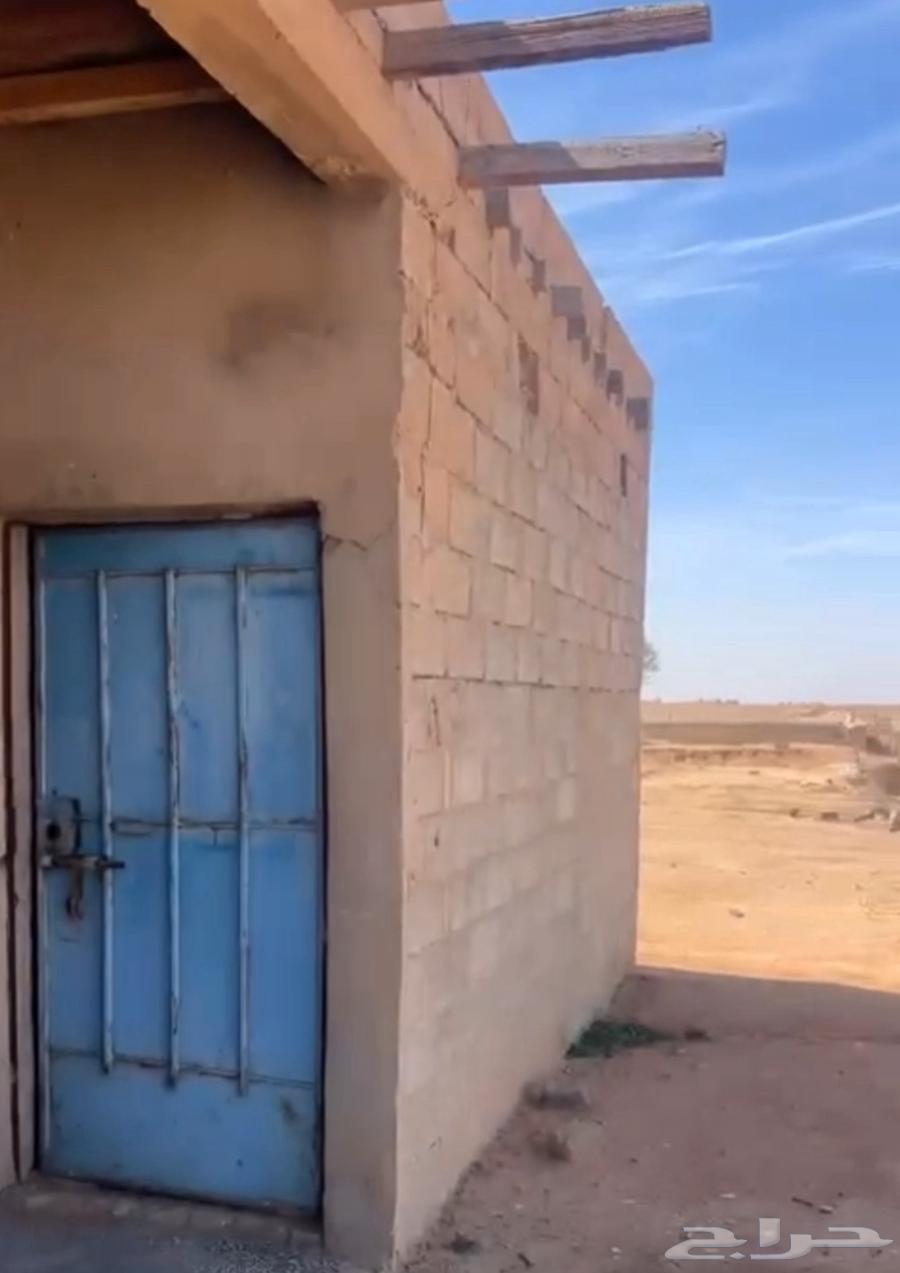 ارض زراعية للبيع فيها بئر63380366060801113