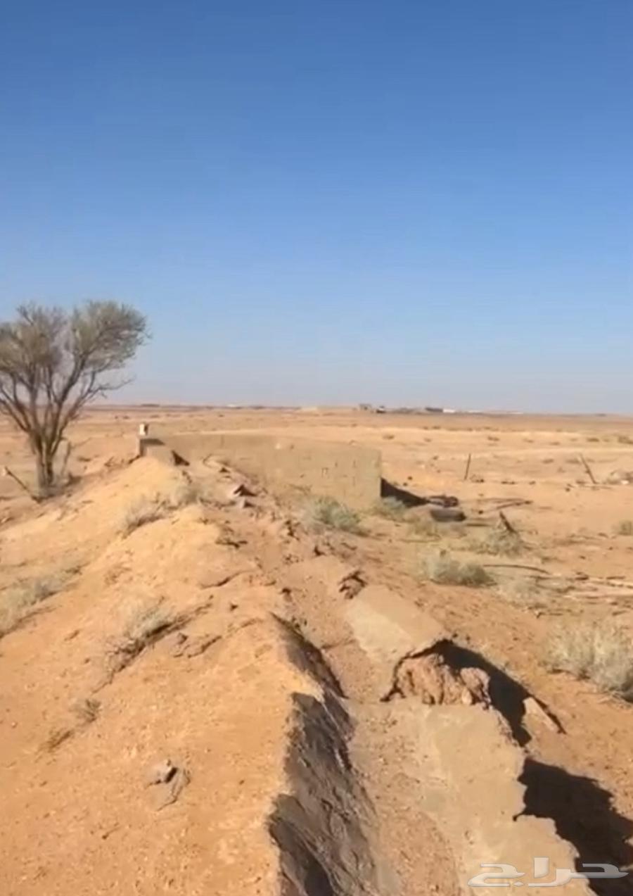 ارض زراعية للبيع فيها بئر63380366060801114