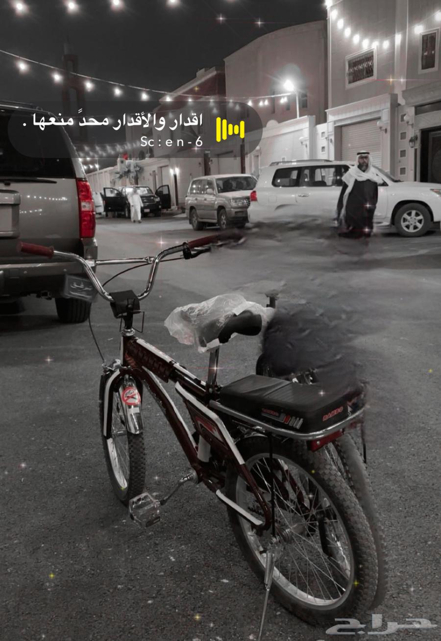 رامبو مقاس 2063396574901633112