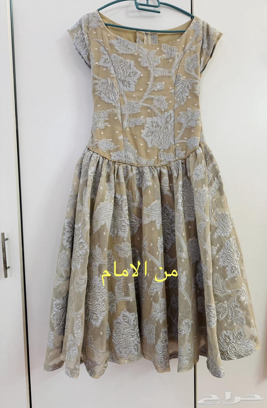 فستان للمناسبات633964764024341128