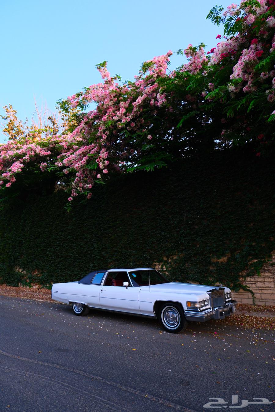 1975 Cadillac De Ville63515409082755113