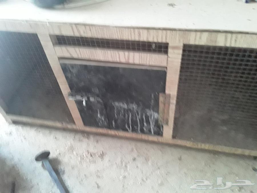 فقاسه وحضانات63402192397313114