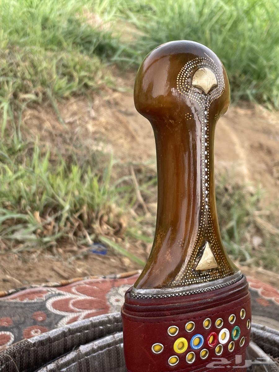 جنبيه شبيه الزراف63396576825347112