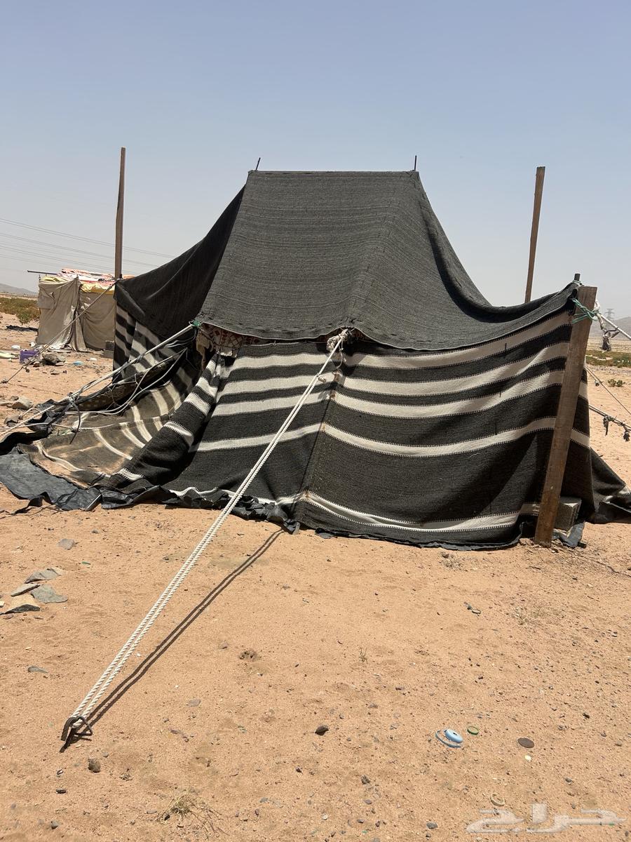 Tent634438299683851118