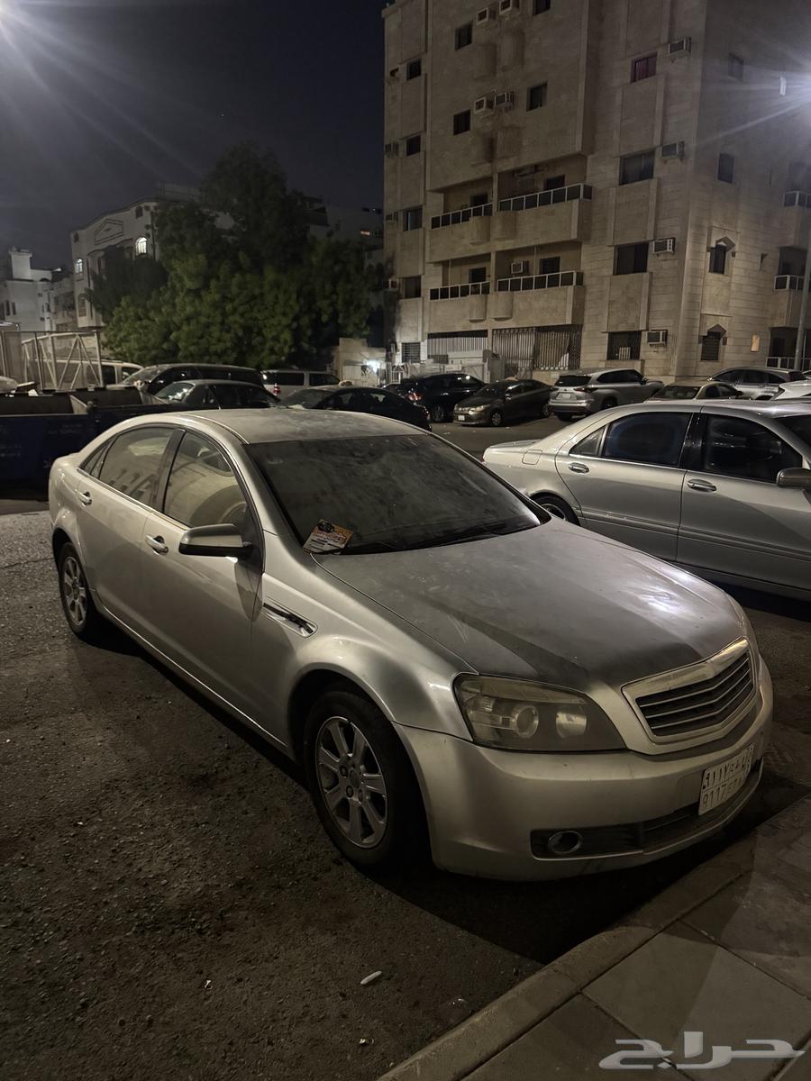 كابرس 200963403550777473113