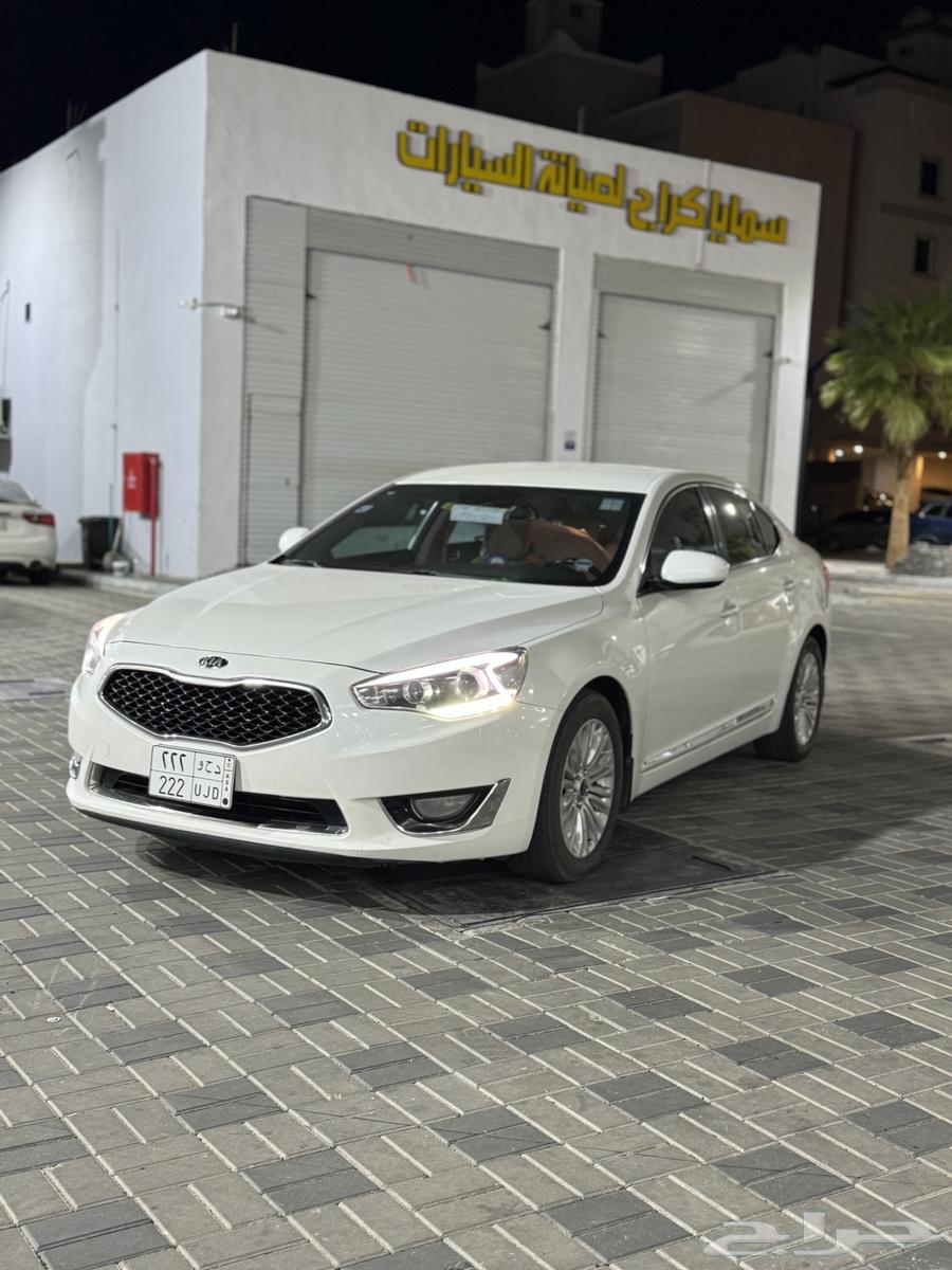 كادينزا 2014 استاندر63402046215939111