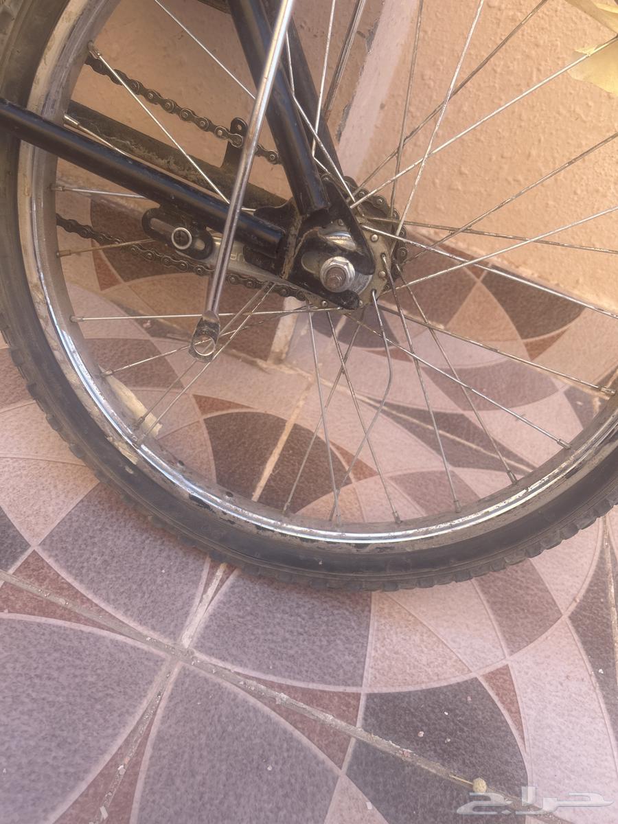 Rambo Cycle is new63402181630595112