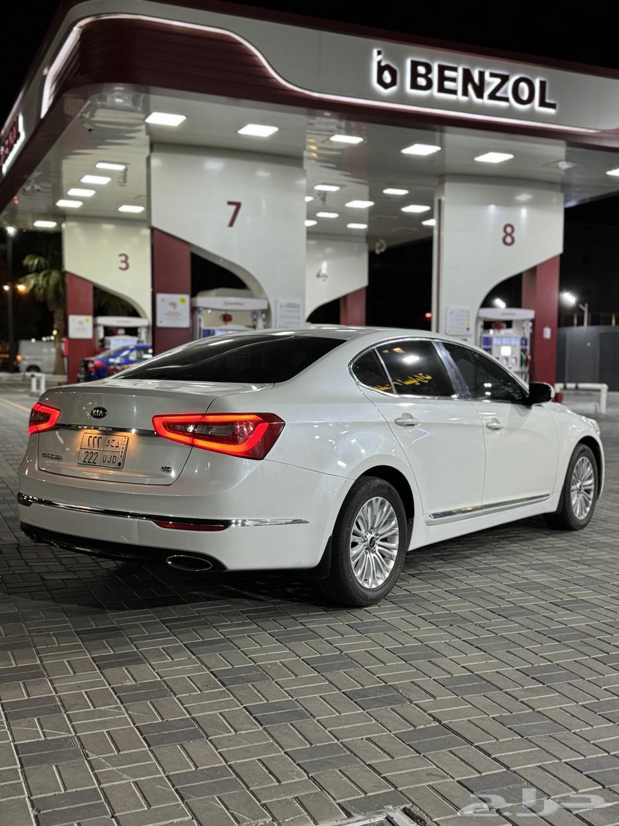 كادينزا 2014 استاندر63402046215939114