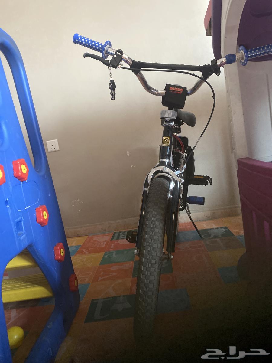 رامبو اندنوسي نضيف63396608868995112