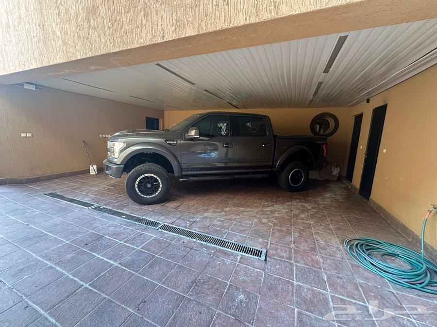 Ford Shelby634008944913931127