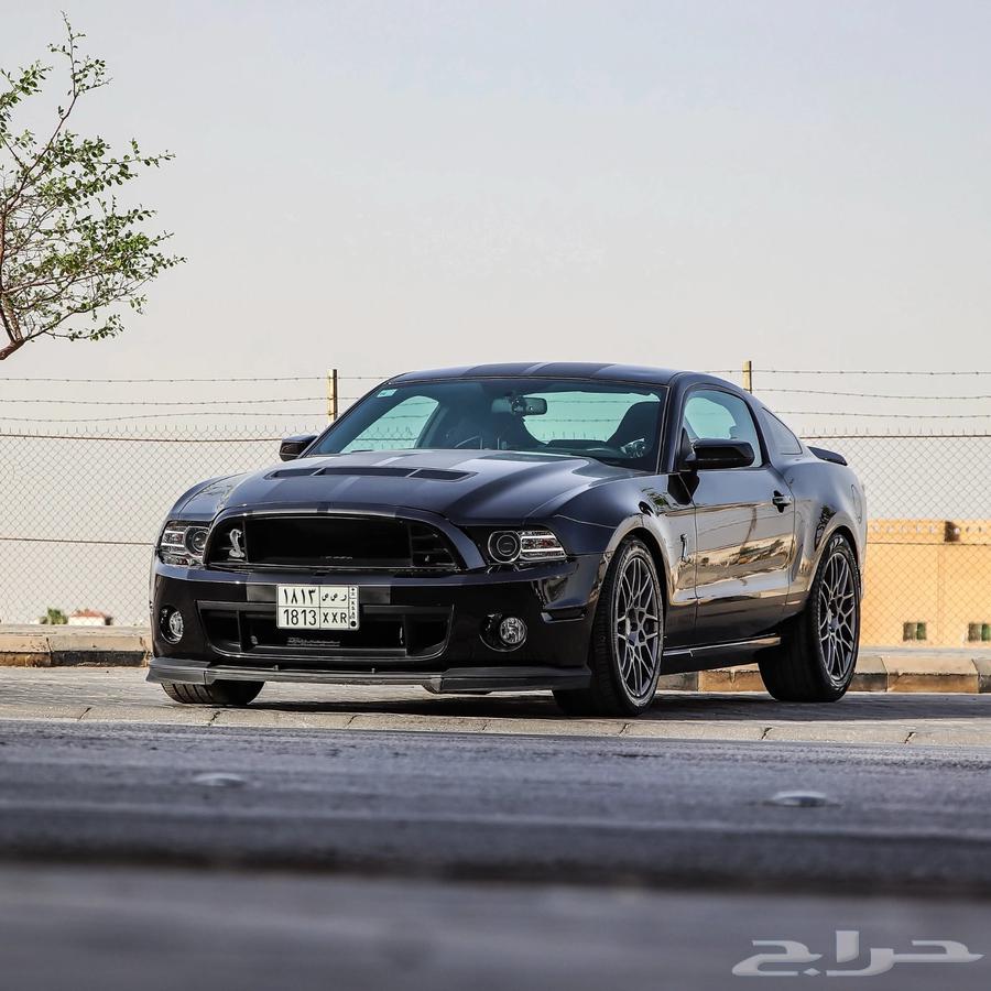 Mustang Shelby GT500634009004056351119