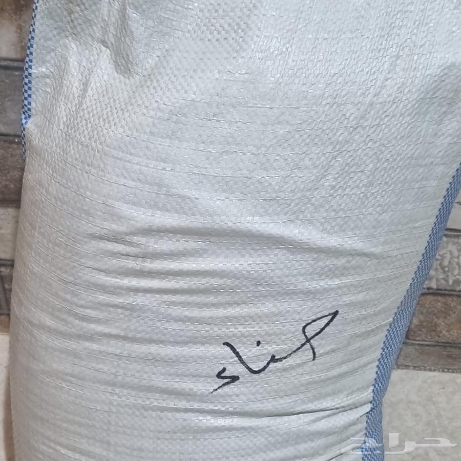 حنا 10 كيلو63396499000705113