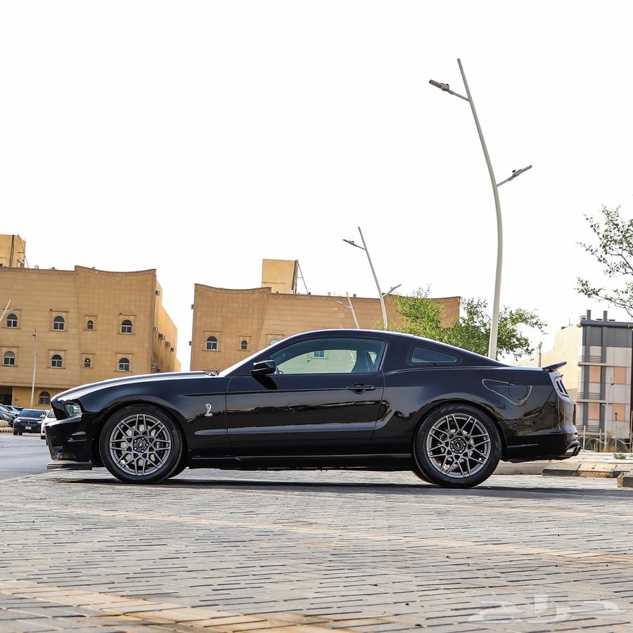 Mustang Shelby GT50063400900405635113