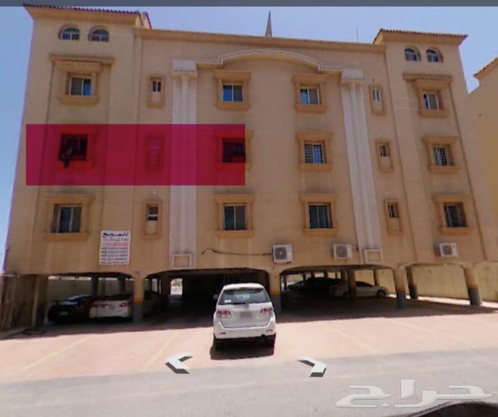 شقه للبيع63382068707970111