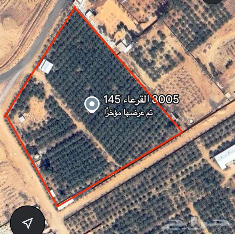 Farm for sale north of Buraidah63379994276482111
