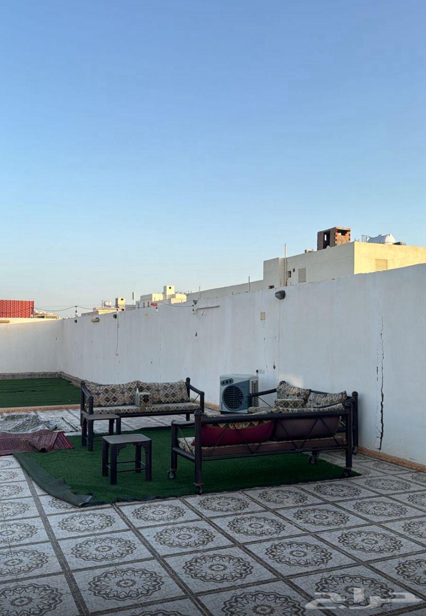 للبيع أستراحة في المدينة المنورة شوران حي الغراء63379959618177113